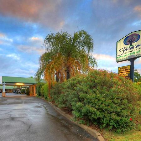 Jacaranda Country Motel Saint George Kültér fotó
