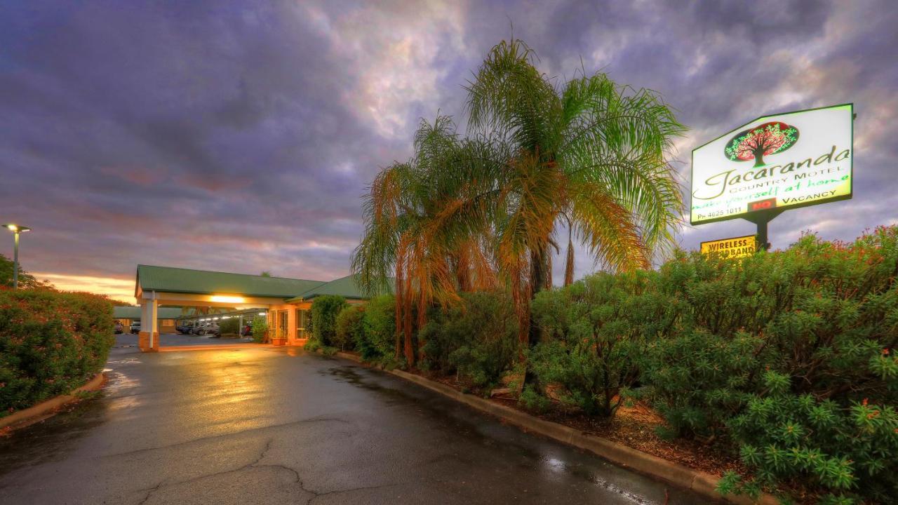 Jacaranda Country Motel Saint George Kültér fotó